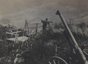 Frontier Wheeled Artillery